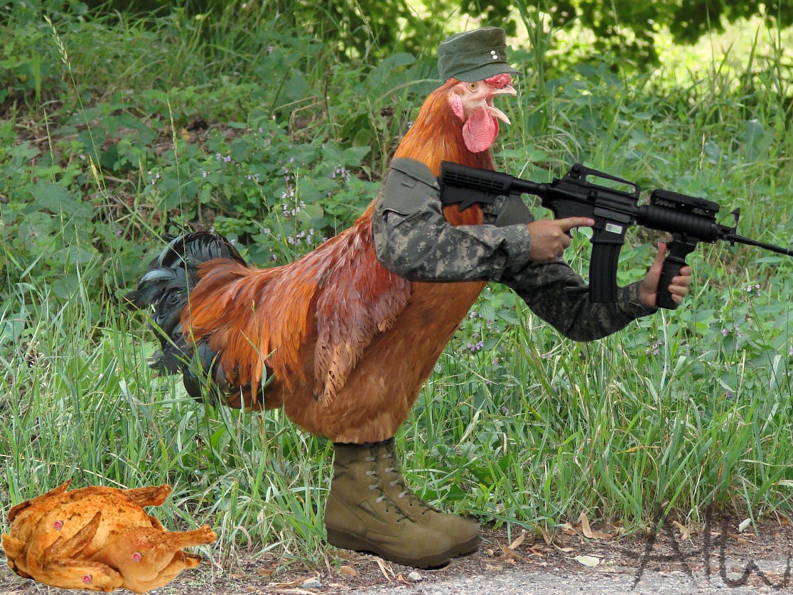 A Rooster with human arms and hands holding a gun and clad in military camos.
