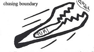 predator boundary pouncing