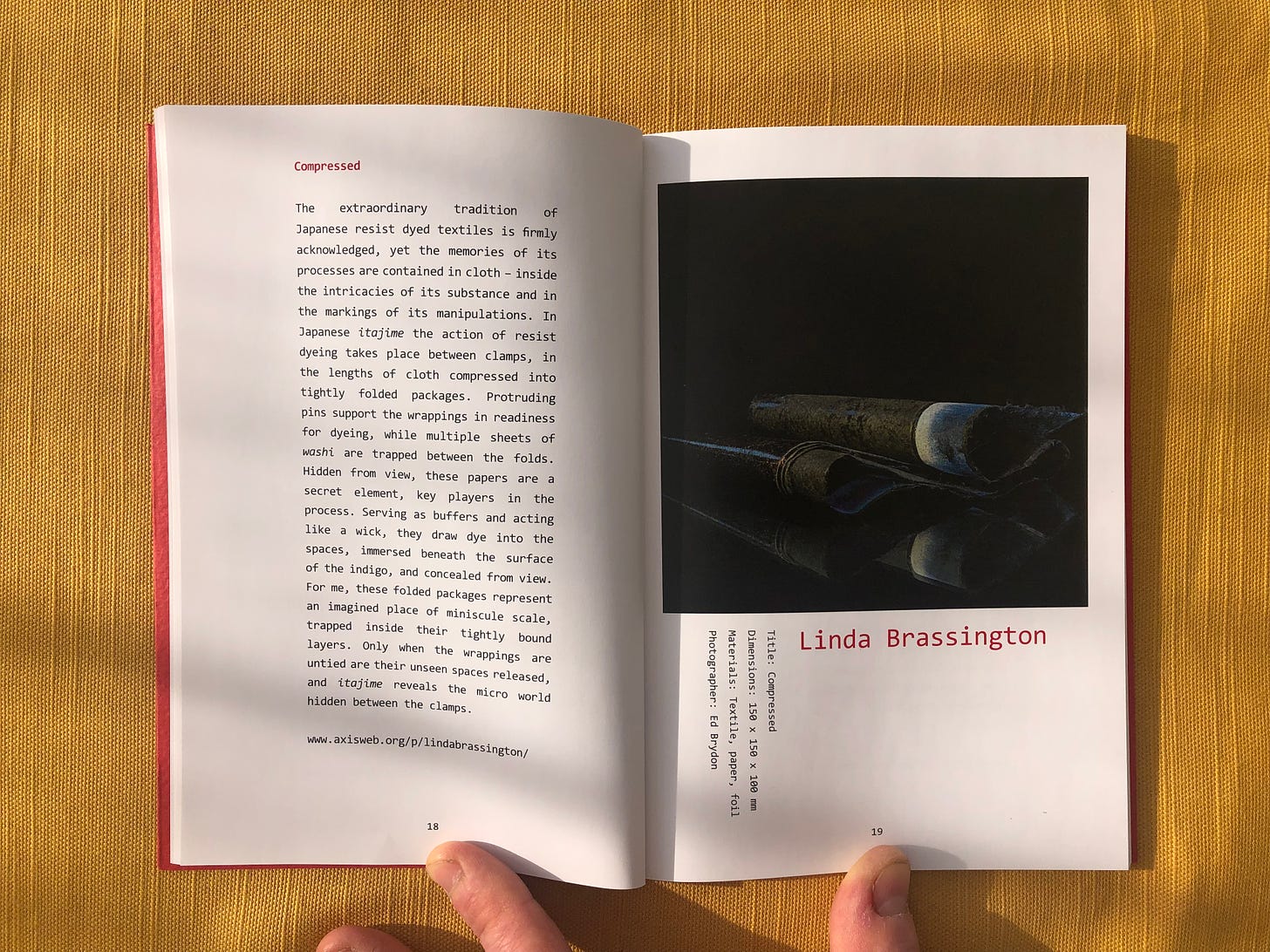 Two page spread of a book on a yellow tablecloth. Left page has text, right page shows a photograph of a folded textile dyed with indigo with artists title and name underneath