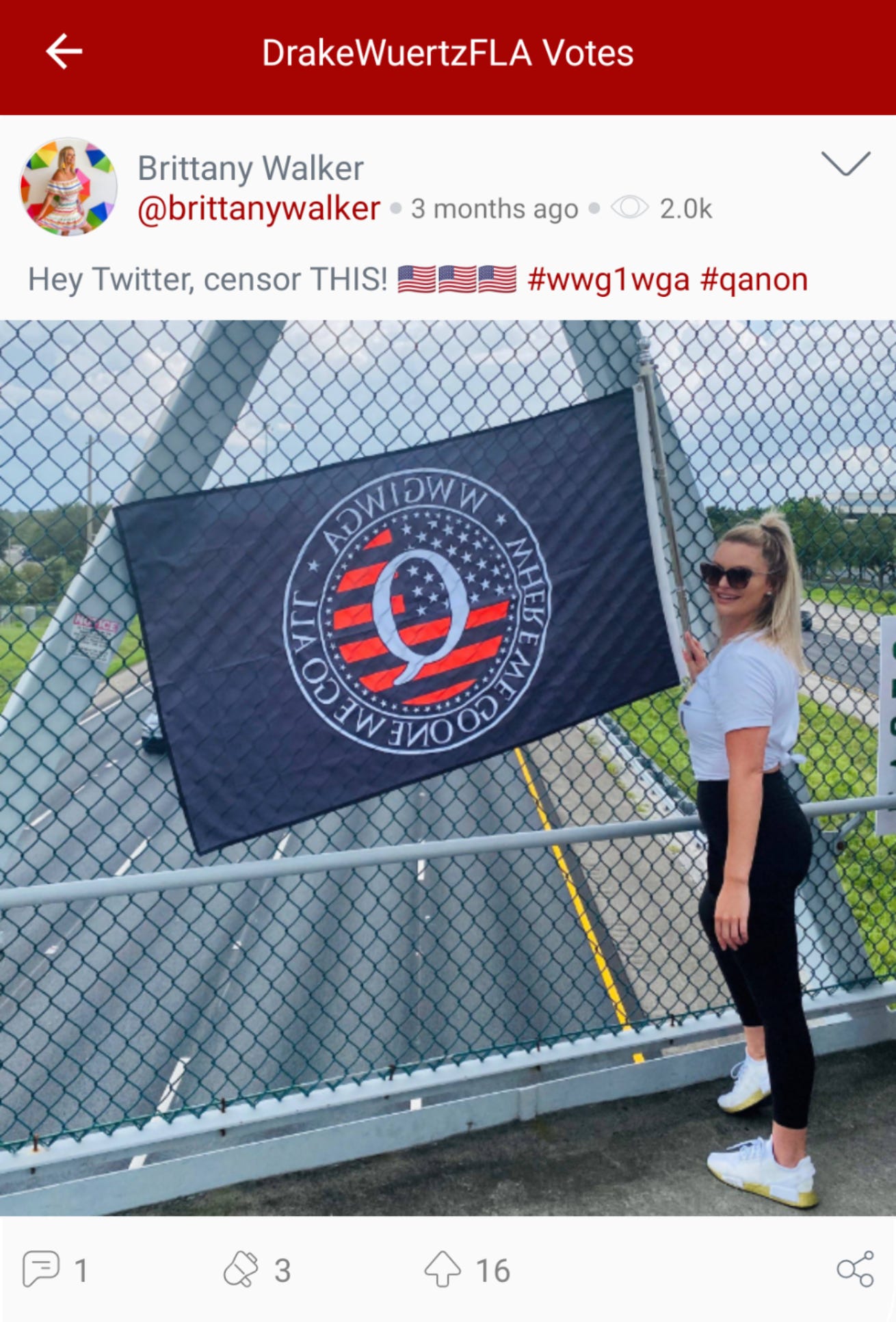 @DrakeWuertzFLA “votes” a Parler post from Brittany Walker displaying a (backwards) QAnon flag, which also includes the hashtags “#qanon” and “#wweg1wga,” the latter standing for QAnon catchphrase “Where We Go One, We Go All.” (Image: Parler screenshot.)