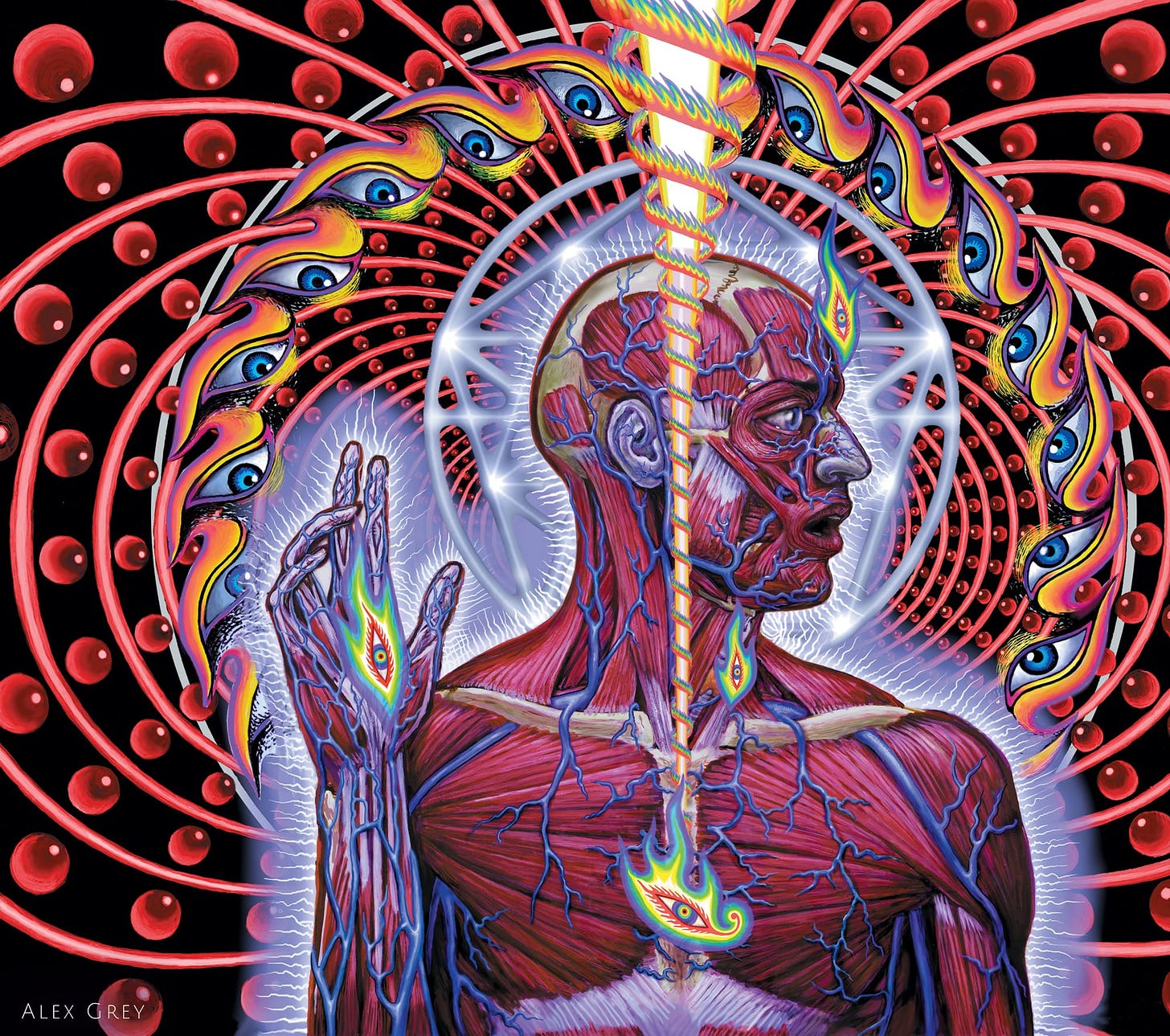 Dissectional Art for Tool's Lateralus CD by Alex Grey