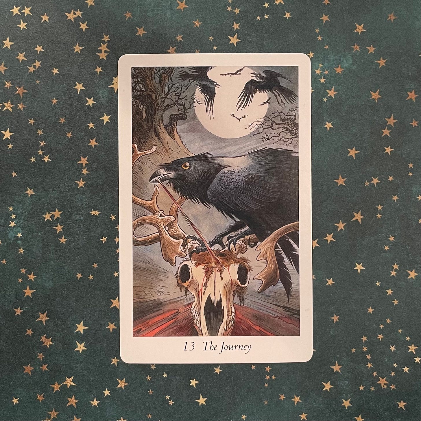 Photo of a tarot card on a dark green cloth covered in tiny gold stars. The card is hand drawn and pictures a crow standing on the skull of a stag pulling one of the remaining bits of flesh off. Behind it there is a full moon, some bare trees and four other airborne crows. There is a distinct aura of menace about the card.