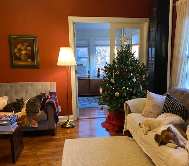 Two cats on a sofa and two dogs on a perpendicular sofa, in a living room with a decorated tree