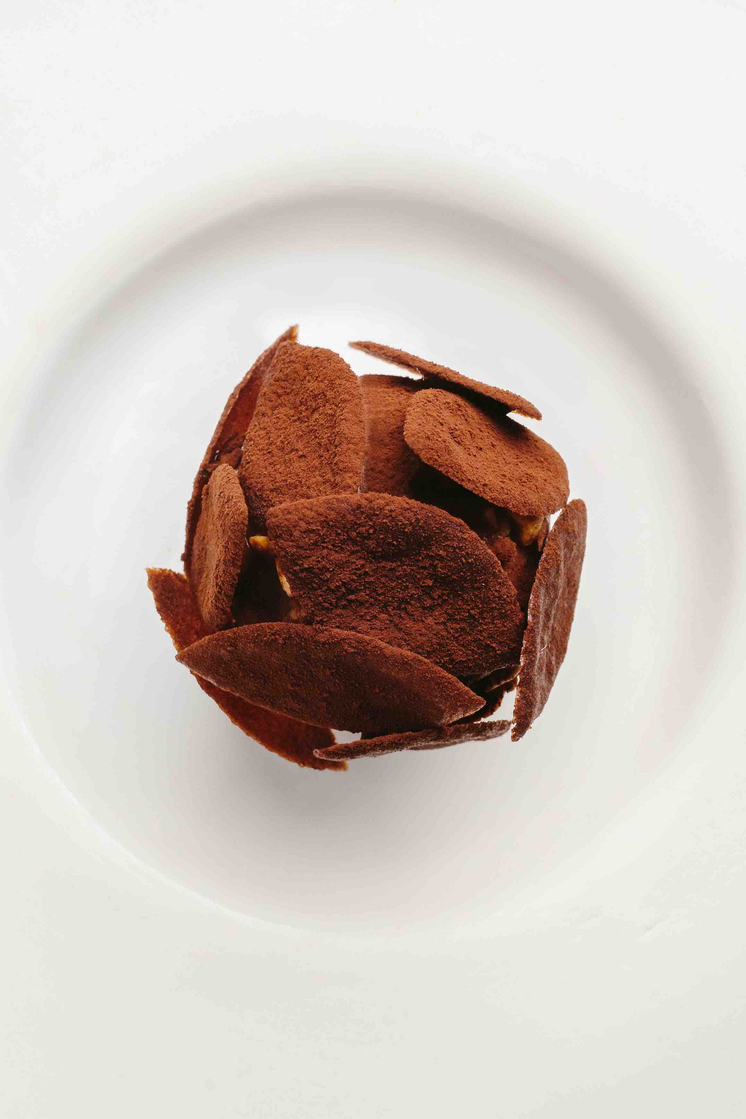Hazelnut Rocher Hazelnut Rocher