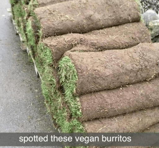 vegan-burritos-2021-12-24-09_01_photo