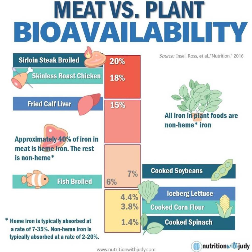 Microblog: Meat vs. Plant - The Bioavailability - Nutrition with Judy