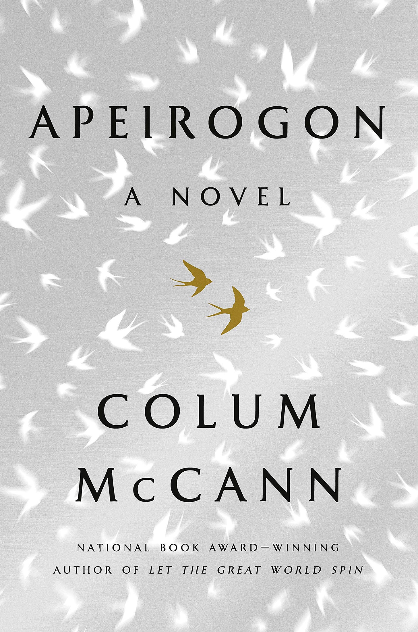 Amazon.com: Apeirogon: A Novel: 9781400069606: McCann, Colum: Books