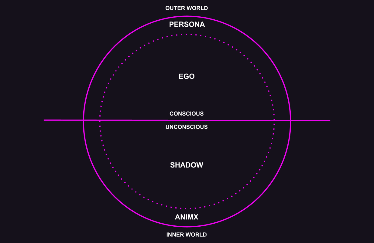 The self as a circle--top half conscious, bottom half unconscious. Ego is in the top half, with persona as its border; shadow is in the bottom half, with animx as its border