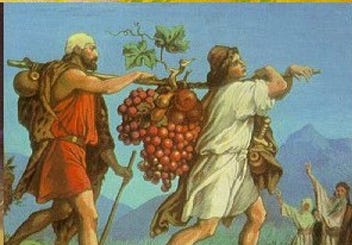 caleb and joshua and the grapes