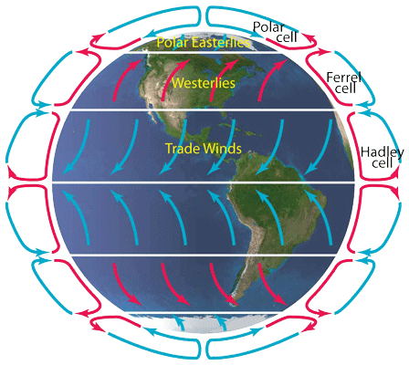 Diagram of Earth&#39;s atmospheric circulation patterns | Weather and climate,  Atmospheric circulation, Earth