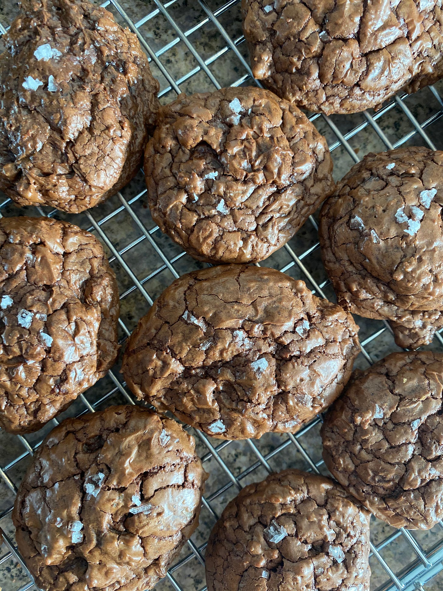 A closeup of several round, crinkly, slightly mounded chocolate cookies They are somewhat unevenly shaped, with lots of wrinkles and cracks, and big flakes of salt visible on top.