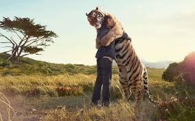 Image result for friendship Image result for friendship
