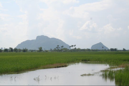 20111110-212057.jpg