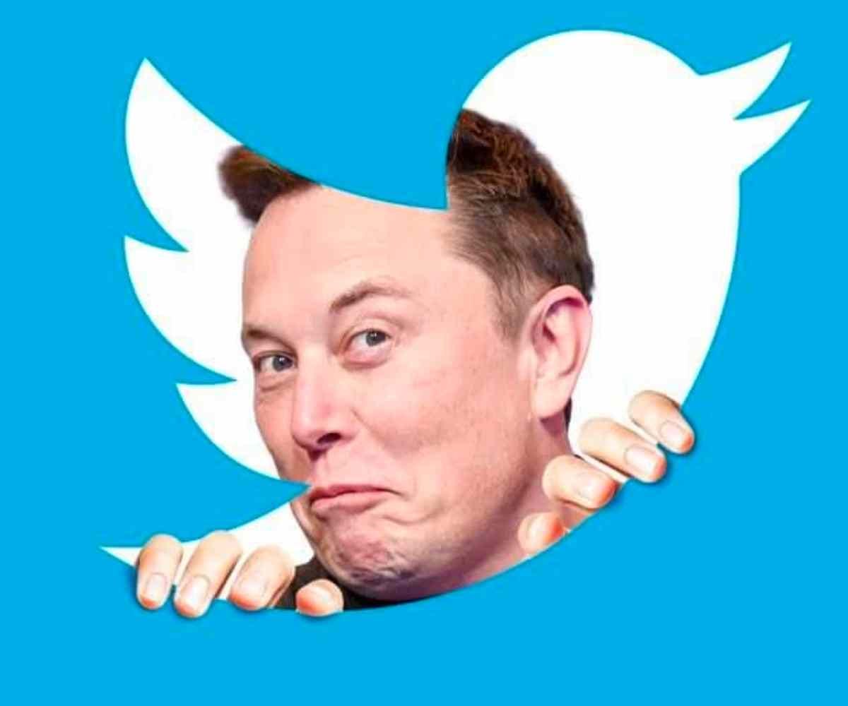 25+ Funny Elon Musk Memes About Twitter Purchase