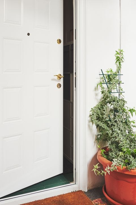 12 Front Door Plant Ideas - Best Plants for Your Entrance