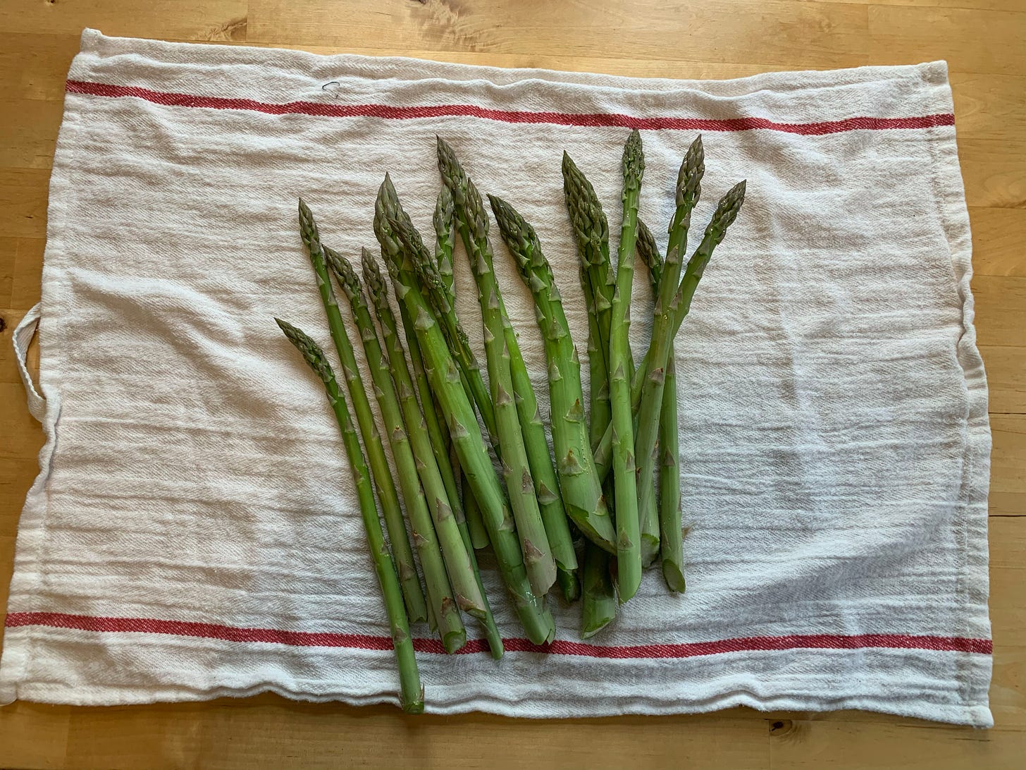 Several stalks of cut asparagus on a white tea towel