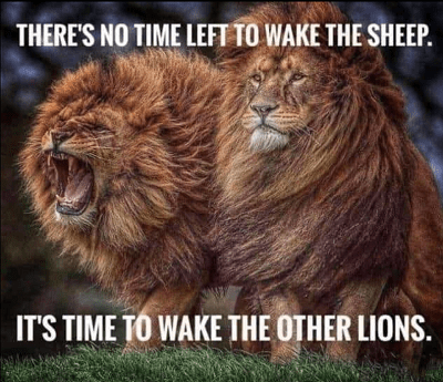 Two lions side by side, one roaring, with the caption, "There's no time to wake the sheep. It's time to wake the other lions."