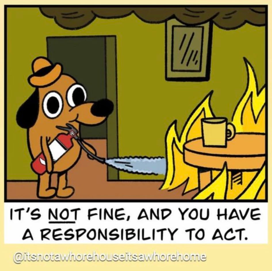 This is fine dog with a fire extinguisher spraying it on the fire and the caption reads it’s not fine and you have a responsibility to act.