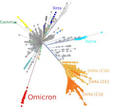 File:Omicron SARS-CoV-2 radial distance tree 2021-Dec-01.svg - Wikimedia  Commons