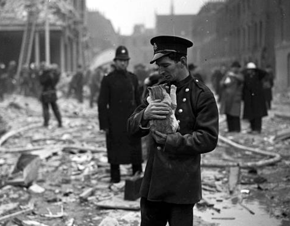 A man holds up a kitten while standing in the rubble, with a crowd in the background. 