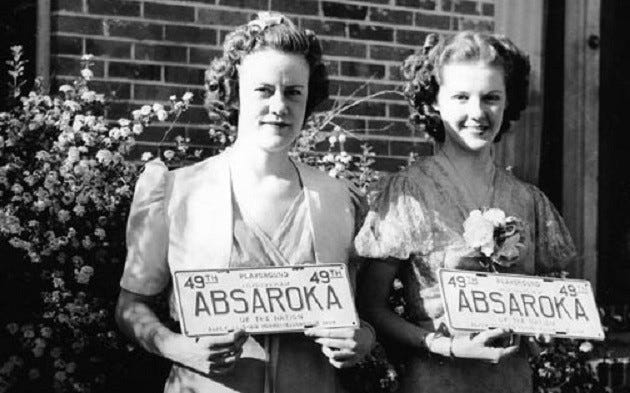 Rare Absaroka License Plate – Barn Finds