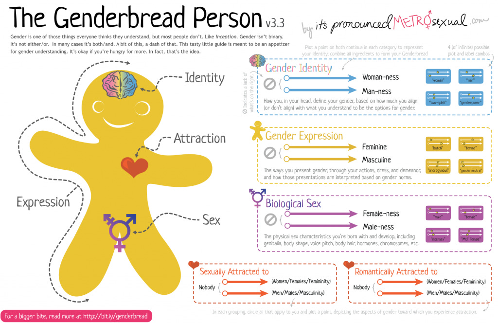 The Genderbread Person