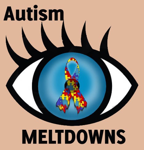 Image result for autistic meltdown adults Image result for autistic meltdown adults