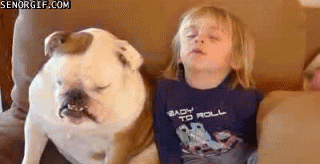 menina e cachorro sonolentos no sofá