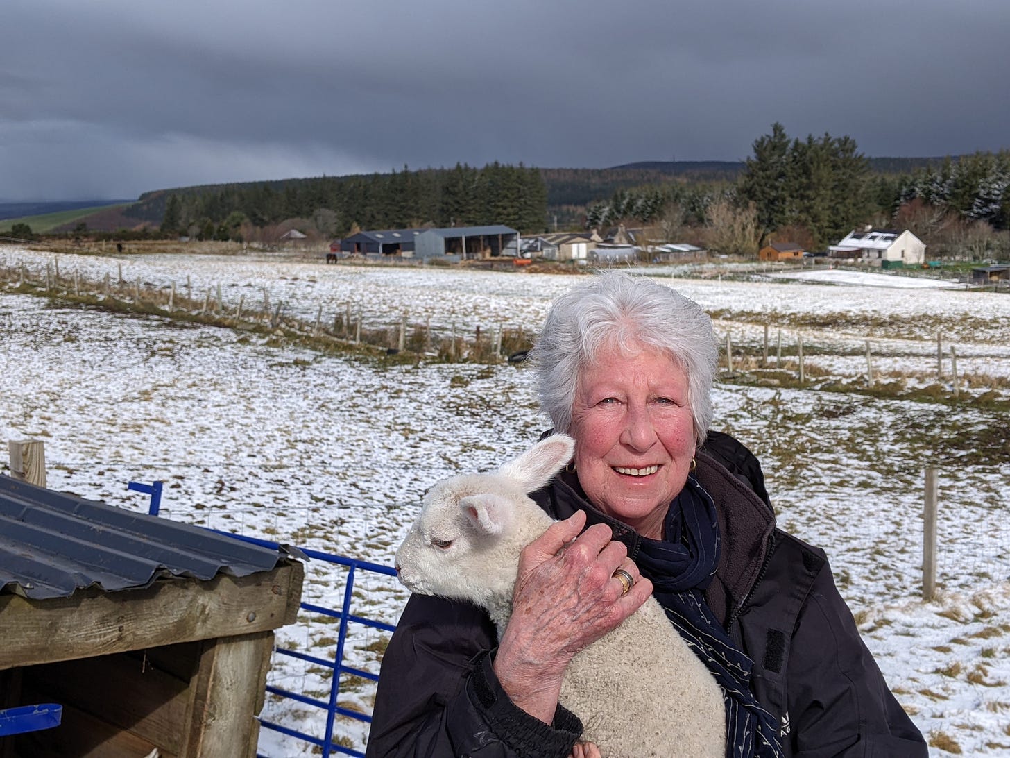Dee, holding a week old lamb, in a snowy hillside with trees in the distance