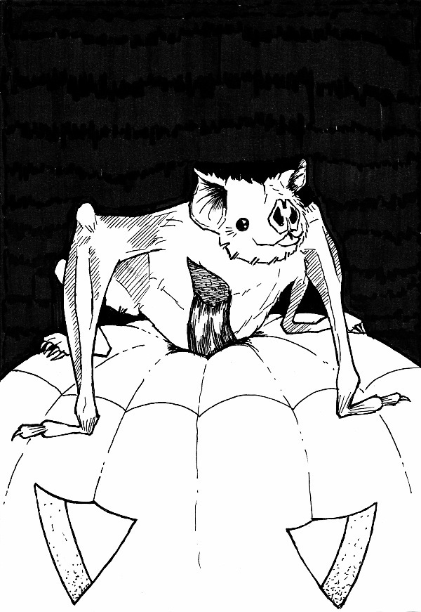 Black and white ink drawing of a vampire bat perched on top of a jack-o-lantern.