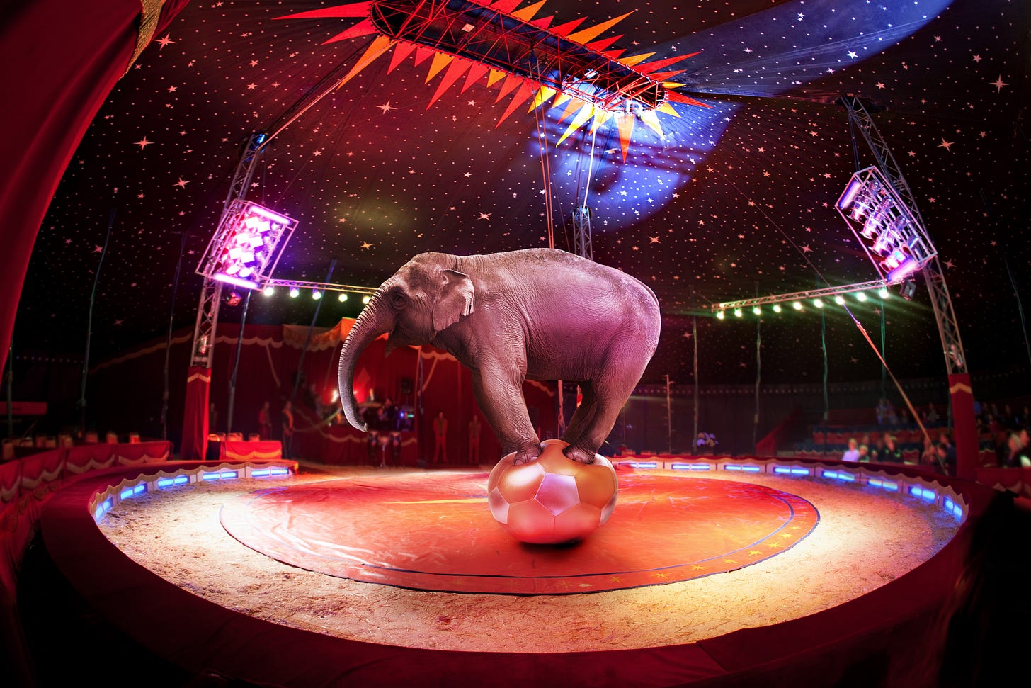 A circus elephant balancing on a ball. I'm aware that circuses are not generally great for animals, but the image has a double entendre for the story