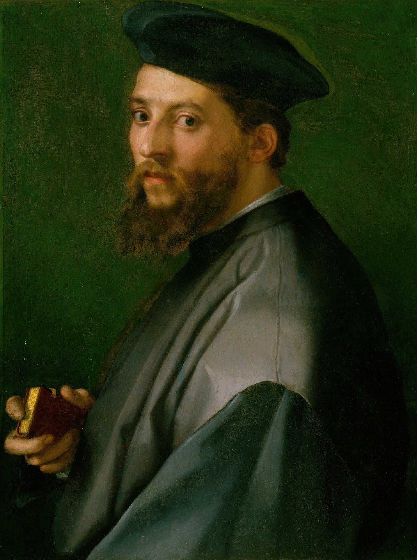 Portrait of a Man (1528–29)