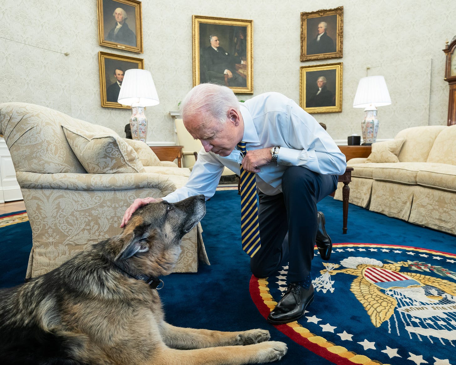 Preisdent Biden with his dog Major in the Oval Office