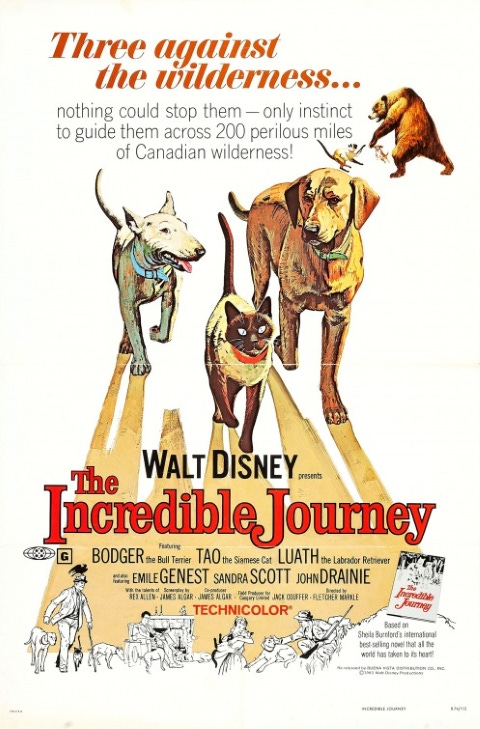 Theatrical release poster for Walt Disney's The Incredible Journey