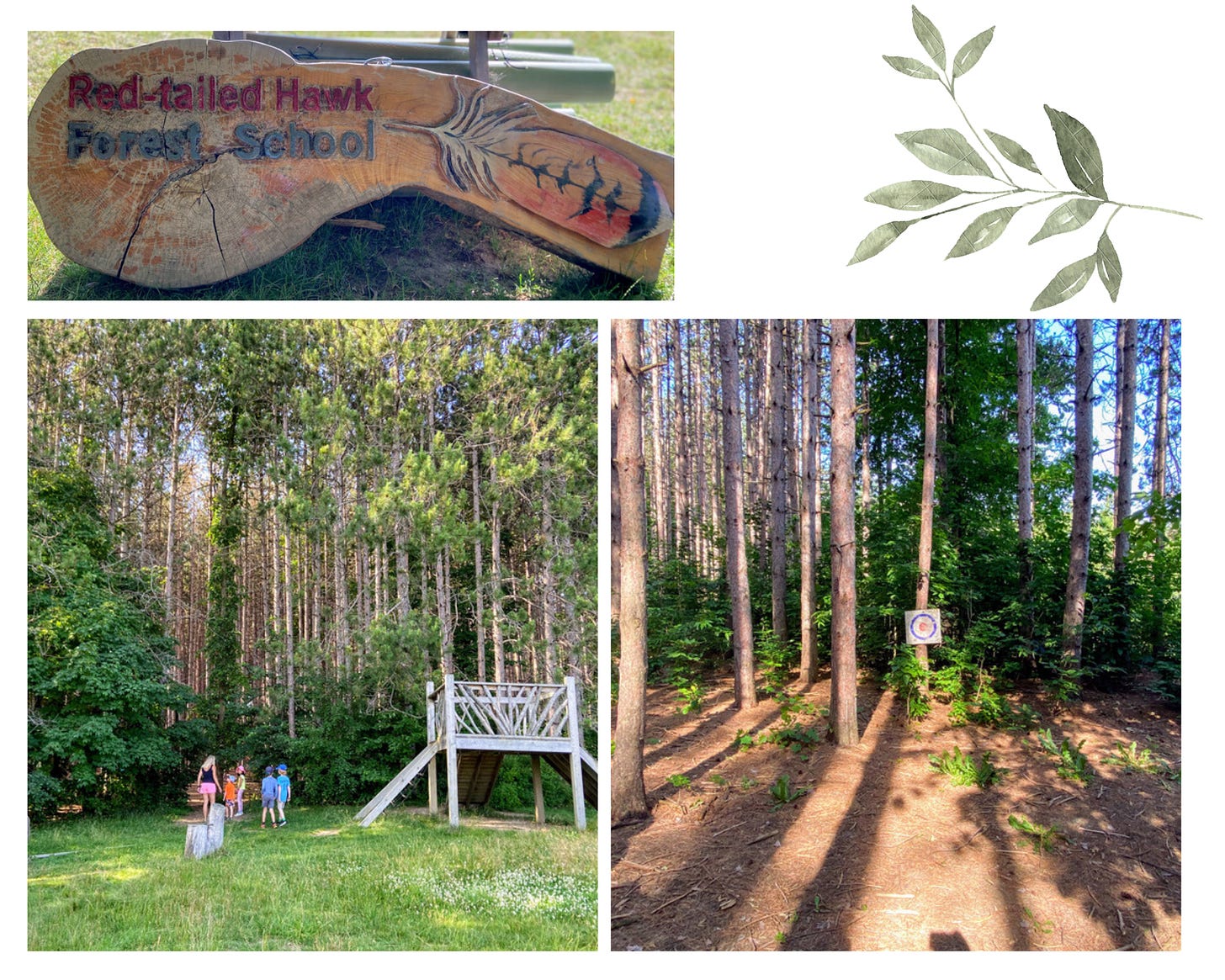 collage of 3 photos: a wood sign, children going into a stand of woods, and trees in a forest with a target hanging on one tree