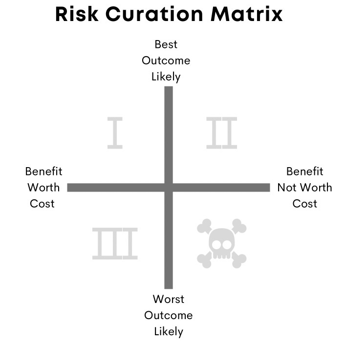 Risk curation matrix