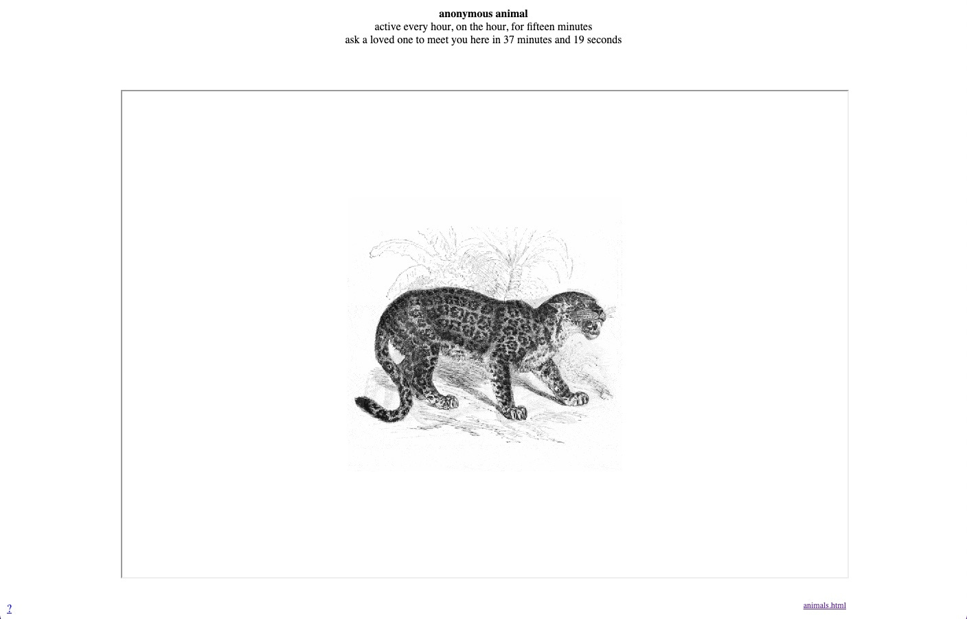 a screenshot of anonymous animals showing a black and white picture of a jaguar on a white background