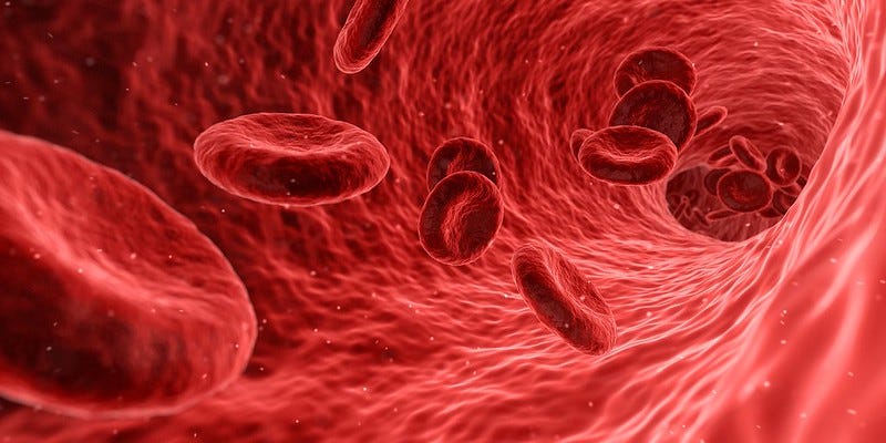 Red blood cells flow through a blood vessel. Red blood cells flow through a blood vessel.