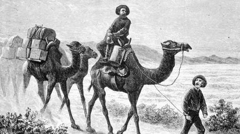 Pin on Camels in wild west