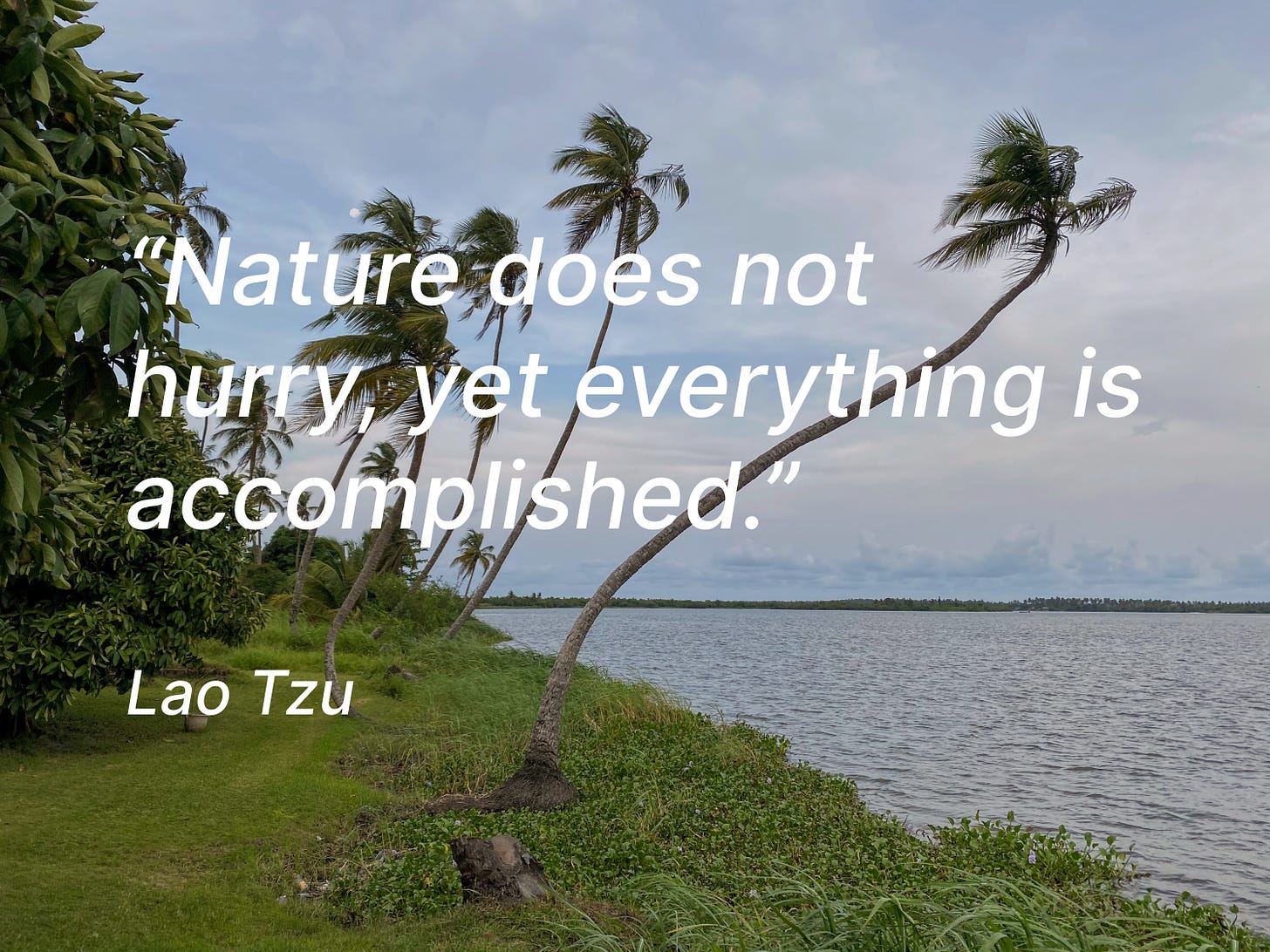 A quote picture saying "Nature does not hurry, yet everything is accomplished."