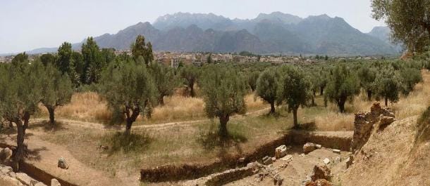Photo of the location of Ancient Sparta