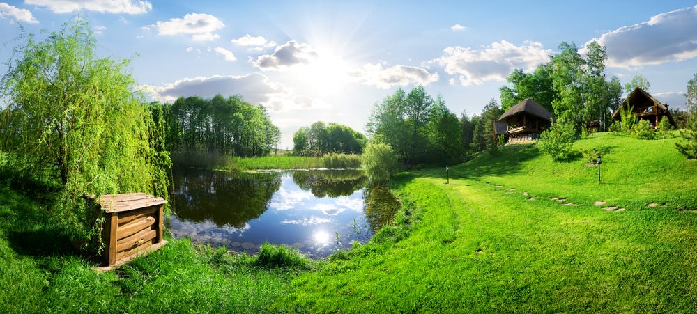 walden-pond.jpg