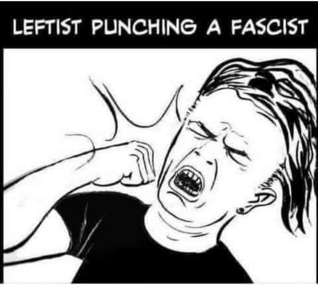 May be a cartoon of 1 person and text that says 'LEFTIST PUNCHING A FASCIST'
