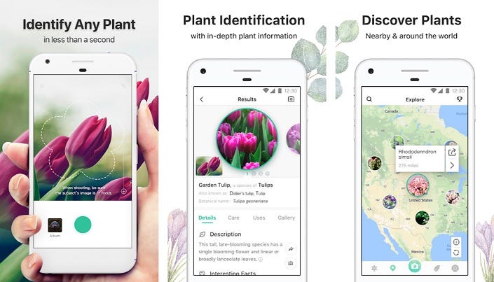 PictureThis: Identify Plant, Flower, Weed and More App – Mobile and Tablet  Apps Online Directory – AppsDiary