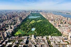 41,134 Central Park Stock Photos, Pictures & Royalty-Free Images - iStock