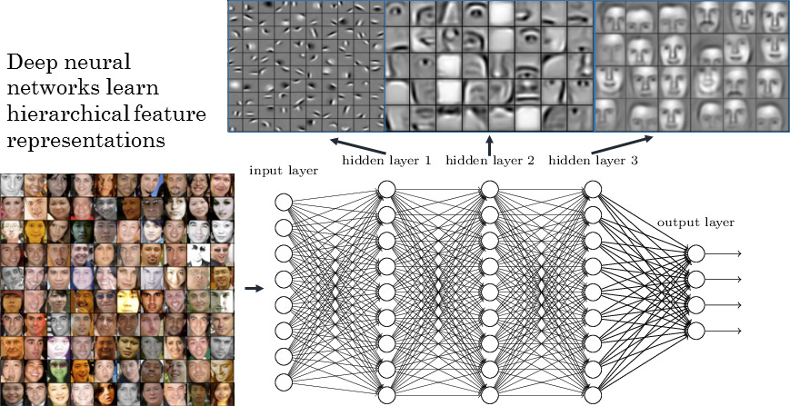 Facial recognition representations in deep neural networks