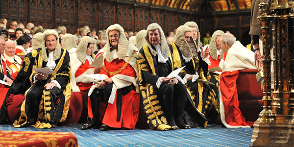 The House of Lords should become the Future Chamber - The Post