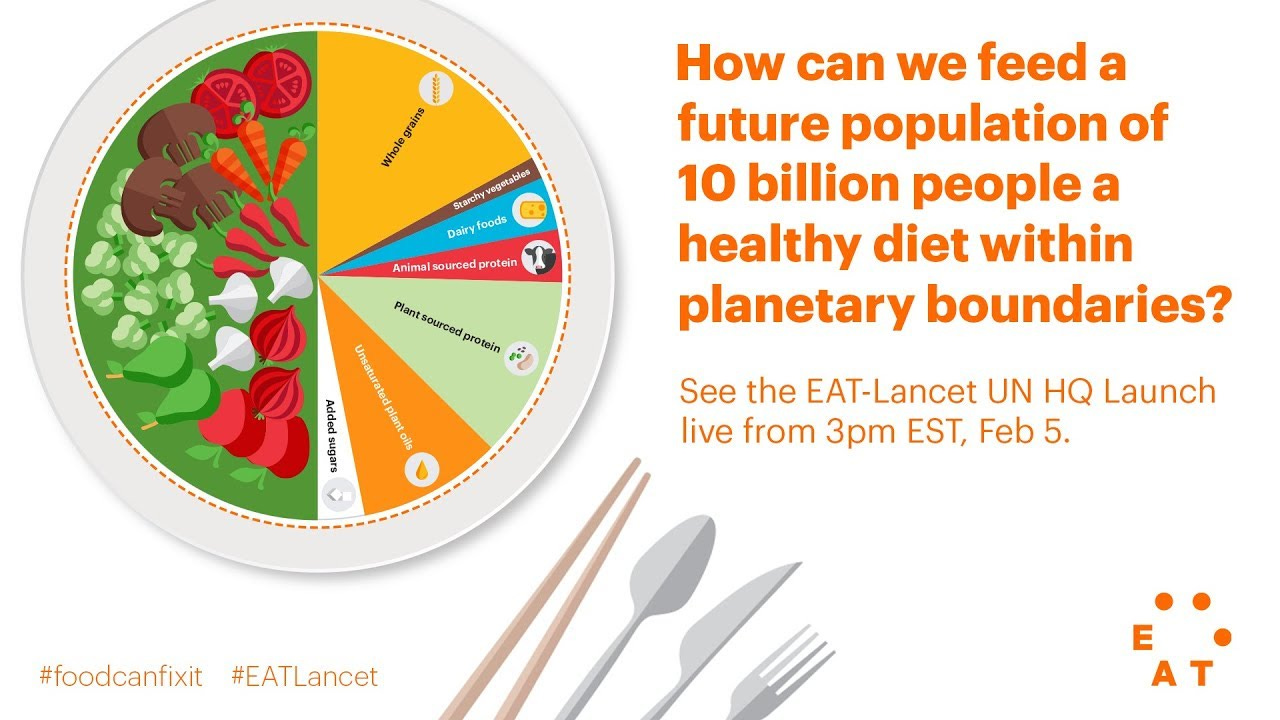 The Diet of the Future - EAT-Lancet UN Launch - YouTube