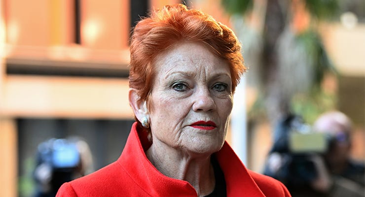 Pauline Hanson reviewed by regulator for domain 'cybersquatting'