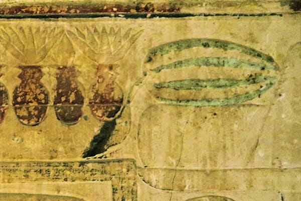 A 4,450-year-old Egyptian papyrus depicting a watermelon-like object, suggesting that the sweet fruit, possibly derived from Kordofan melons, was consumed in ancient Egypt’s Nile Valley.